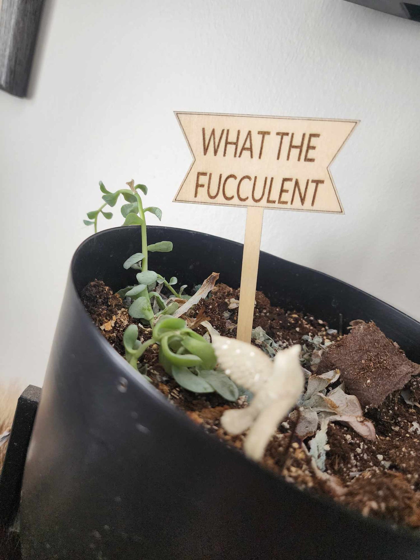 Punny Plant Stakes/Funny Plant Markers/Plant Stakes/Garden Stakes/Flower Pot Stakes/Plant signs