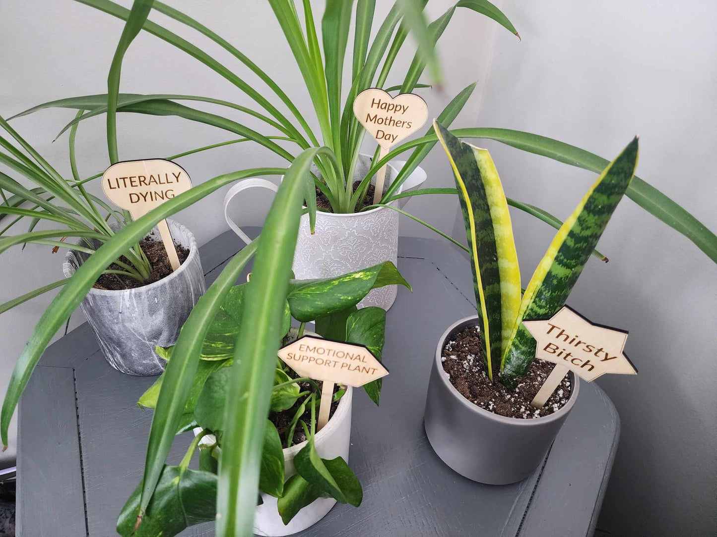 Punny Plant Stakes/Funny Plant Markers/Plant Stakes/Garden Stakes/Flower Pot Stakes/Plant signs