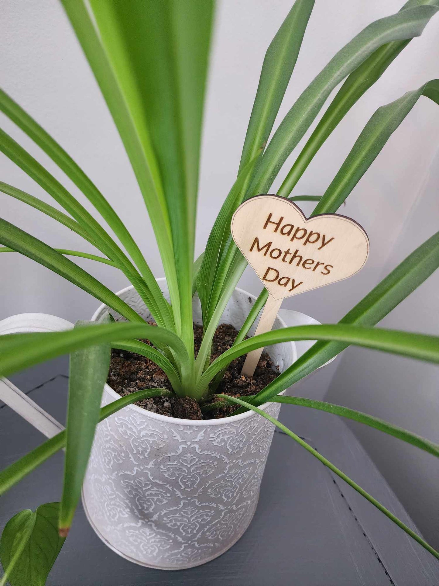 Punny Plant Stakes/Funny Plant Markers/Plant Stakes/Garden Stakes/Flower Pot Stakes/Plant signs