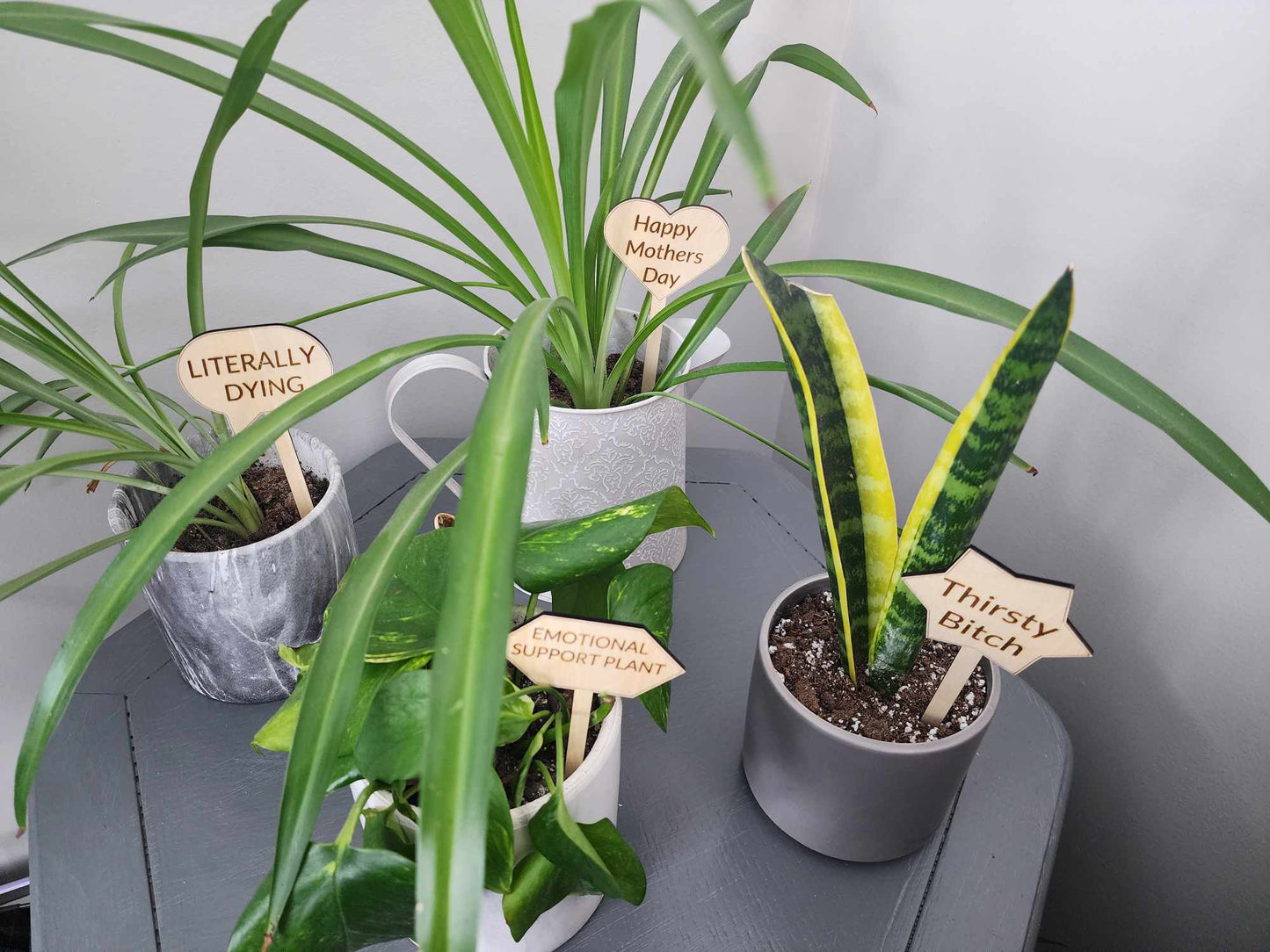 Punny Plant Stakes/Funny Plant Markers/Plant Stakes/Garden Stakes/Flower Pot Stakes/Plant signs