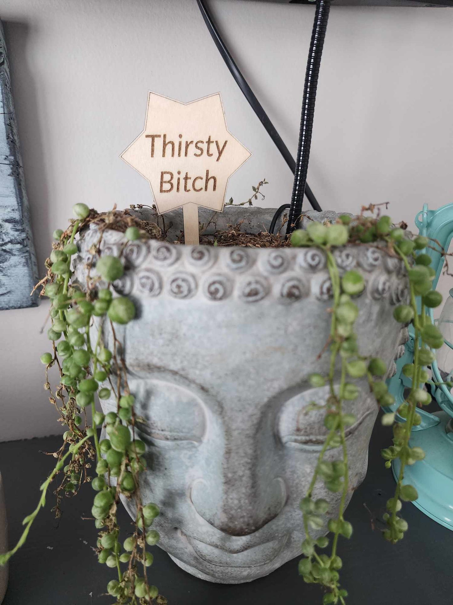 Punny Plant Stakes/Funny Plant Markers/Plant Stakes/Garden Stakes/Flower Pot Stakes/Plant signs