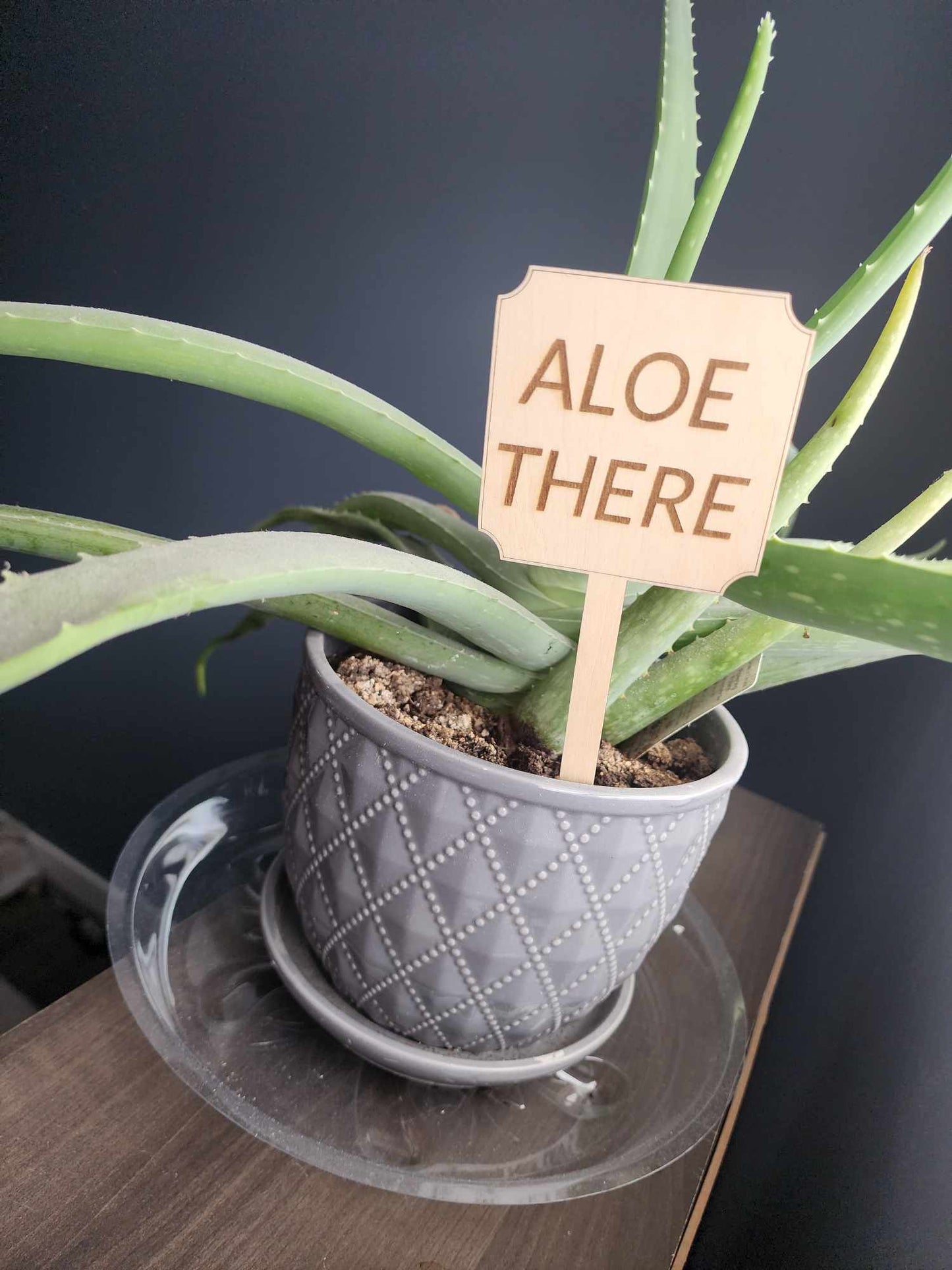 Punny Plant Stakes/Funny Plant Markers/Plant Stakes/Garden Stakes/Flower Pot Stakes/Plant signs