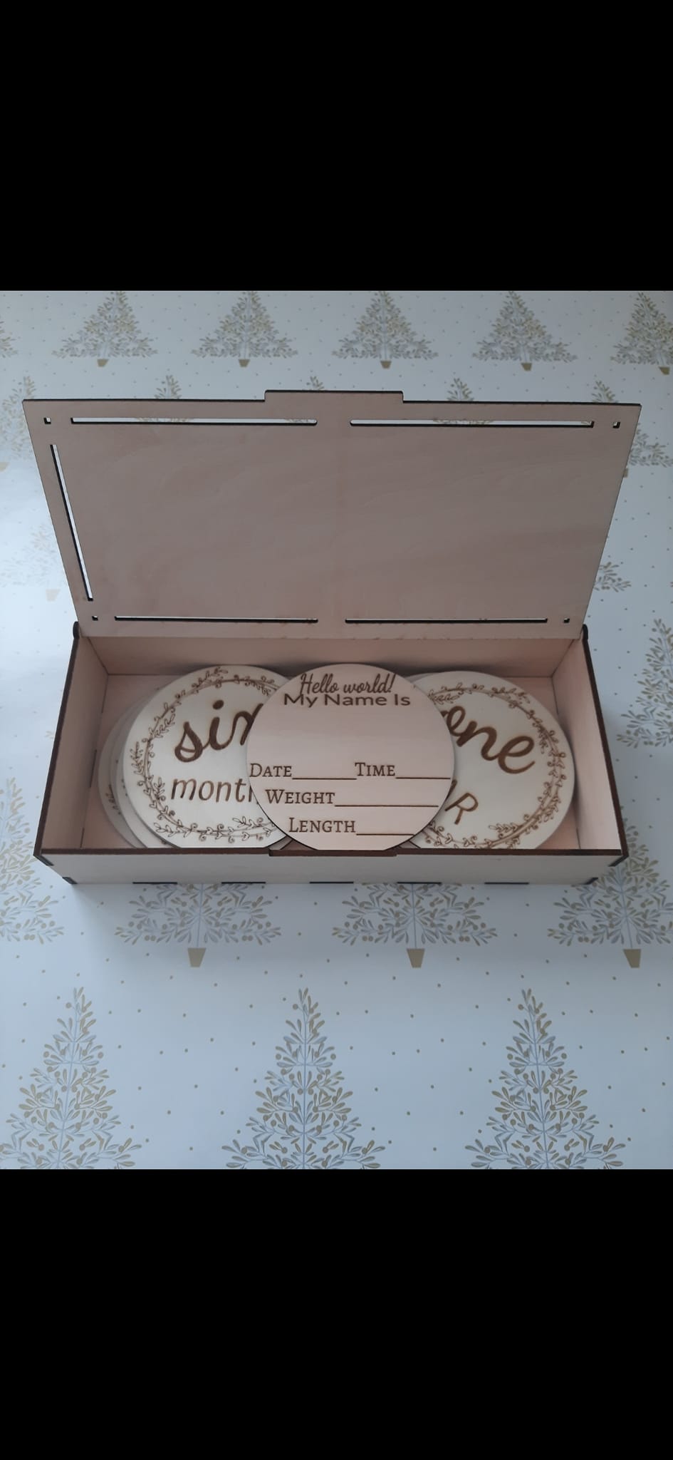 Baby Milestone Set Disc Photo Prop