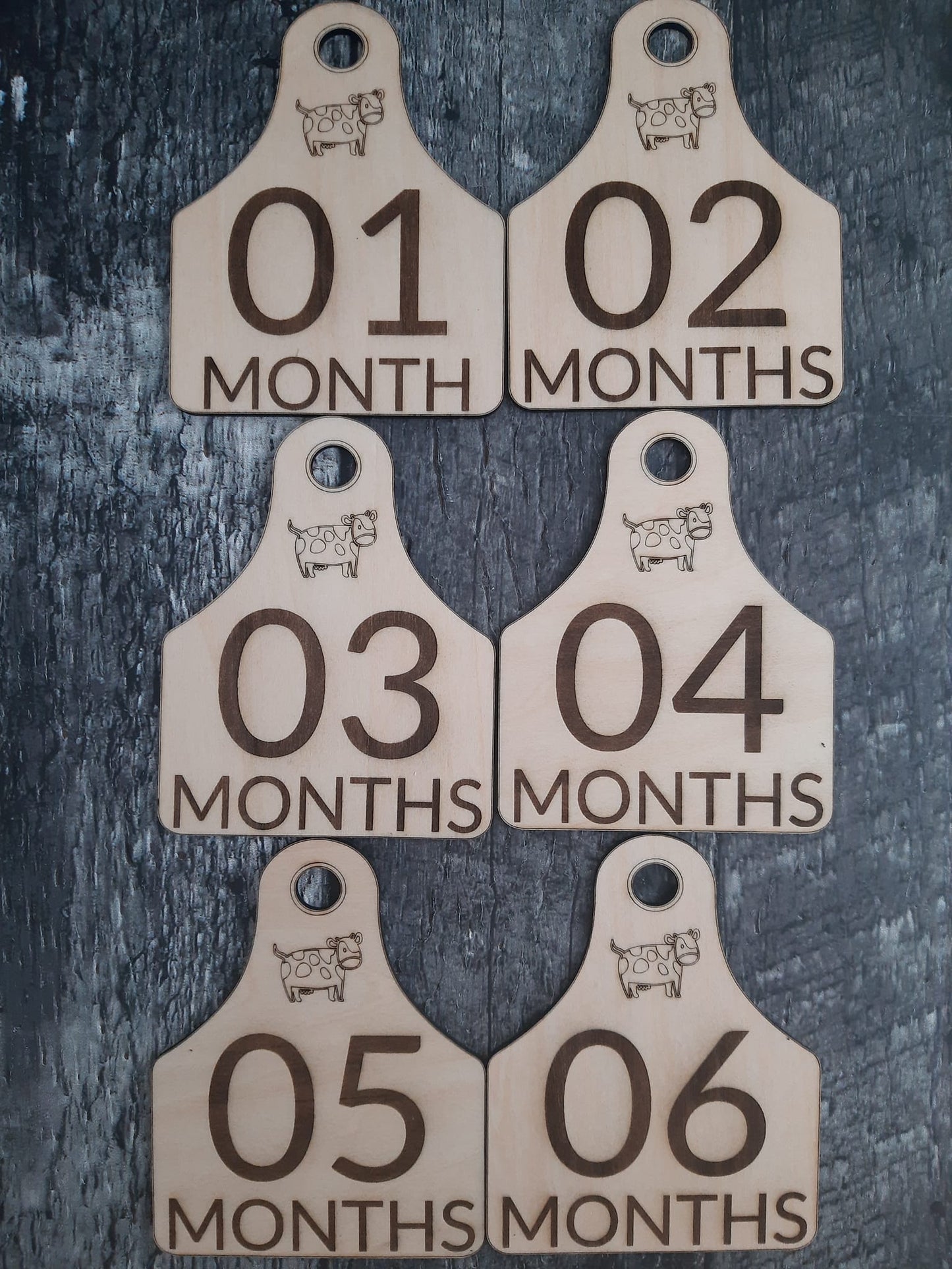 Eartag Baby Milestones