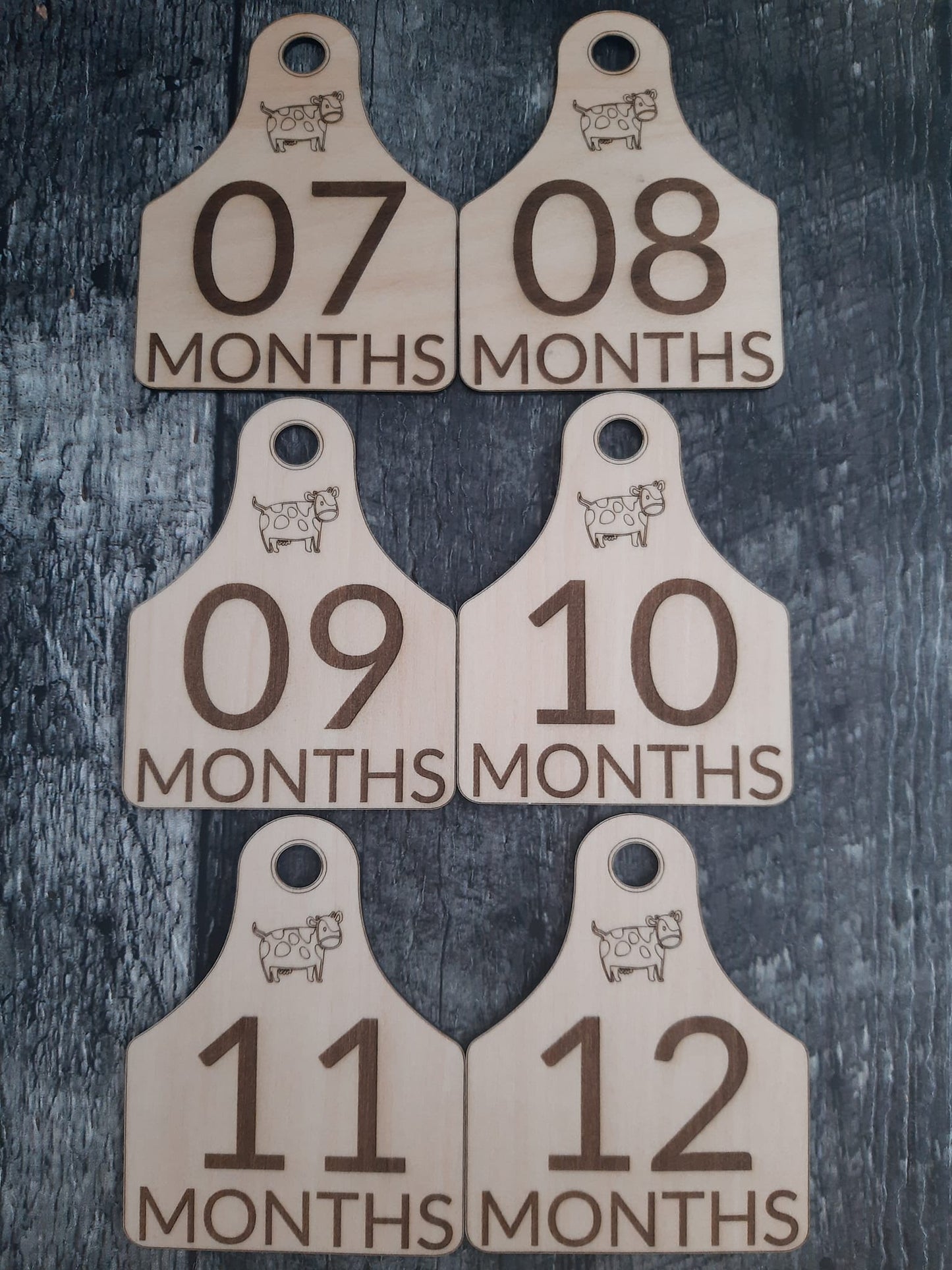Eartag Baby Milestones